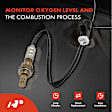 APOS1100 6 Pcs Upstream & Downstream & Center O2 Oxygen Sensor