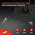 APOS1103 O2 Oxygen Sensor