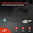 APOS1105 4 Pcs Upstream & Downstream O2 Oxygen Sensor