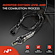 APOS1107 2 Pcs Upstream & Downstream O2 Oxygen Sensor