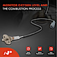 APOS1108 4 Pcs Upstream & Downstream O2 Oxygen Sensor