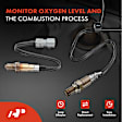 APOS1121 2 Pcs Upstream & Downstream O2 Oxygen Sensor