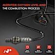 APOS1122 4 Pcs Upstream & Downstream O2 Oxygen Sensor