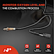 APOS1126 4 Pcs Upstream & Downstream O2 Oxygen Sensor