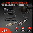 APOS1134 2 Pcs Upstream & Downstream O2 Oxygen Sensor