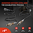 APOS1135 2 Pcs Upstream & Downstream O2 Oxygen Sensor