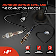 APOS1138 4 Pcs Upstream & Downstream O2 Oxygen Sensor