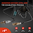 APOS1140 2 Pcs Upstream & Downstream O2 Oxygen Sensor