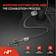 APOS1142 4 Pcs Upstream & Downstream O2 Oxygen Sensor