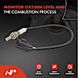 APOS1143 2 Pcs Downstream Left & Right O2 Oxygen Sensor
