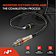 APOS1147 4 Pcs Upstream & Downstream O2 Oxygen Sensor