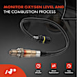 APOS1148 4 Pcs Upstream & Downstream O2 Oxygen Sensor