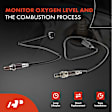 APOS1155 4 Pcs Upstream & Downstream O2 Oxygen Sensor