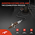 APOS1157 2 Pcs Upstream & Downstream O2 Oxygen Sensor