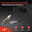 APOS1160 4 Pcs Upstream & Downstream O2 Oxygen Sensor
