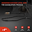 APOS1162 2 Pcs Upstream & Downstream O2 Oxygen Sensor