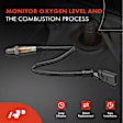APOS1163 4 Pcs Upstream & Downstream O2 Oxygen Sensor