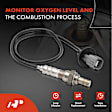APOS1170 4 Pcs Upstream & Downstream O2 Oxygen Sensor
