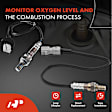 APOS1171 2 Pcs Downstream Front & Rear O2 Oxygen Sensor