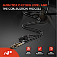 APOS1174 4 Pcs Upstream & Downstream O2 Oxygen Sensor