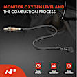 APOS1176 2 Pcs Downstream & Center O2 Oxygen Sensor