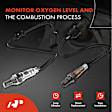 APOS1182 2 Pcs Upstream & Downstream O2 Oxygen Sensor