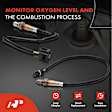 APOS1186 4 Pcs Upstream & Downstream O2 Oxygen Sensor