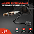APOS1201 2 Pcs Upstream & Downstream O2 Oxygen Sensor