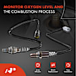 APOS1202 2 Pcs O2 Oxygen Sensor