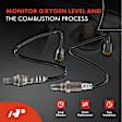 APOS1204 2 Pcs Upstream & Downstream O2 Oxygen Sensor