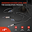 APOS1205 2 Pcs Upstream & Downstream O2 Oxygen Sensor