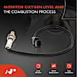APOS1206 2 Pcs Downstream Front & Rear O2 Oxygen Sensor
