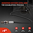 APOS1208 2 Pcs Downstream Front & Rear O2 Oxygen Sensor