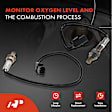 APOS1209 4 Pcs Upstream & Downstream O2 Oxygen Sensor