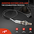 APOS1211 2 Pcs Downstream Front & Rear O2 Oxygen Sensor