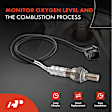 APOS1213 4 Pcs Upstream & Downstream O2 Oxygen Sensor