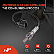 APOS1215 2 Pcs Upstream & Downstream O2 Oxygen Sensor