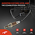 APOS1216 2 Pcs Upstream & Downstream O2 Oxygen Sensor