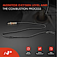 APOS1219 2 Pcs Upstream & Downstream O2 Oxygen Sensor