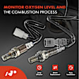 APOS1220 2 Pcs Upstream & Downstream O2 Oxygen Sensor