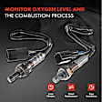 APOS1223 2 Pcs Upstream & Downstream O2 Oxygen Sensor