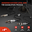 APOS1227 4 Pcs Upstream & Downstream O2 Oxygen Sensor