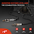 APOS1228 2 Pcs Downstream Left & Right O2 Oxygen Sensor