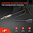 APOS1231 O2 Oxygen Sensor