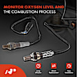 APOS1237 2 Pcs Upstream & Downstream O2 Oxygen Sensor
