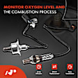 APOS1238 2 Pcs Upstream & Downstream O2 Oxygen Sensor