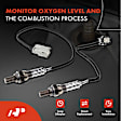 APOS1240 2 Pcs O2 Oxygen Sensor