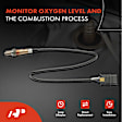 APOS1242 2 Pcs Upstream & Downstream O2 Oxygen Sensor