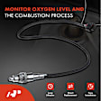 APOS1255 2 Pcs Upstream & Downstream O2 Oxygen Sensor