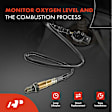 APOS1256 2 Pcs Upstream & Downstream O2 Oxygen Sensor